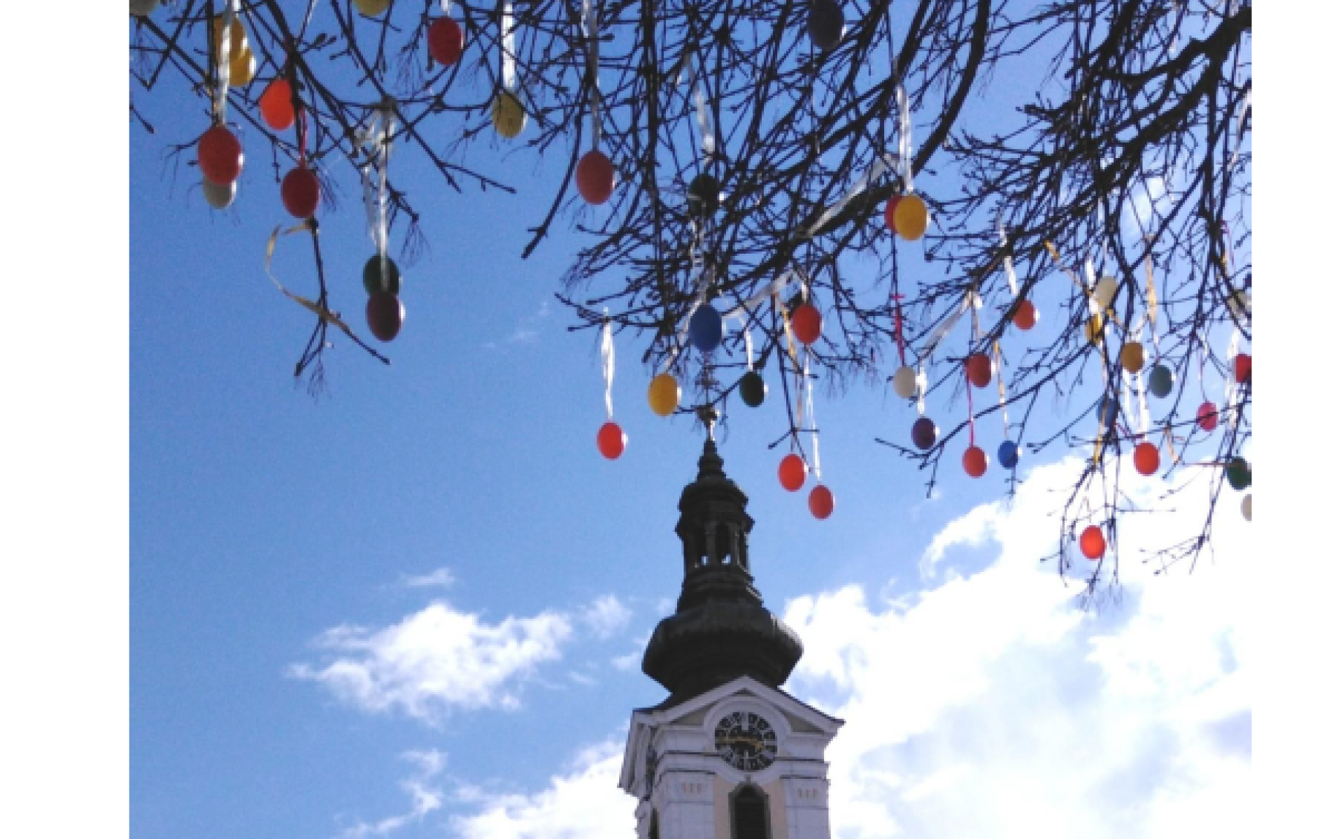 Katharinenkirche und Eierbaum